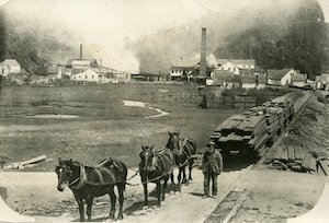 A man with three horses pulling large piles of lumber with a mill in the background