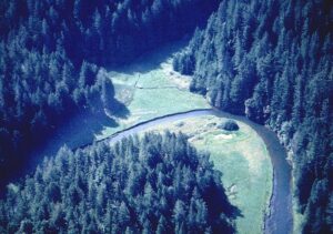Aerial view of a winding river through a forest