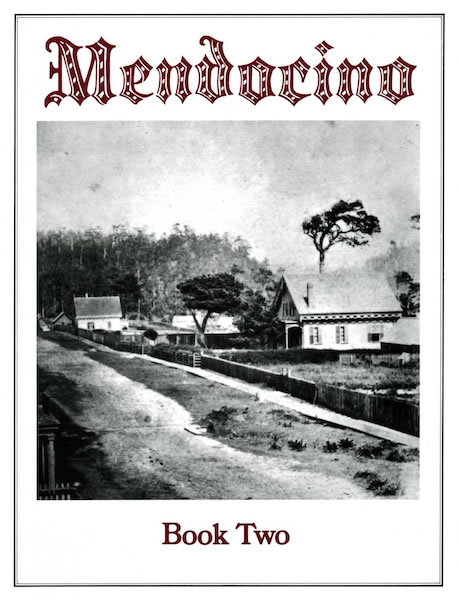 Mendocino (Book Two), by Dorothy Bear and Beth Stebbins