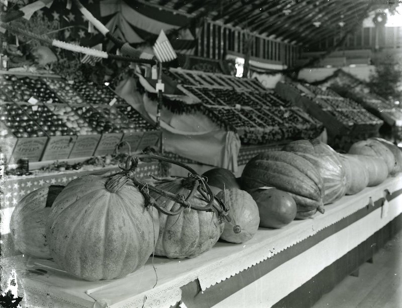 Large pumpkins on a table in front of a display of boxed apples