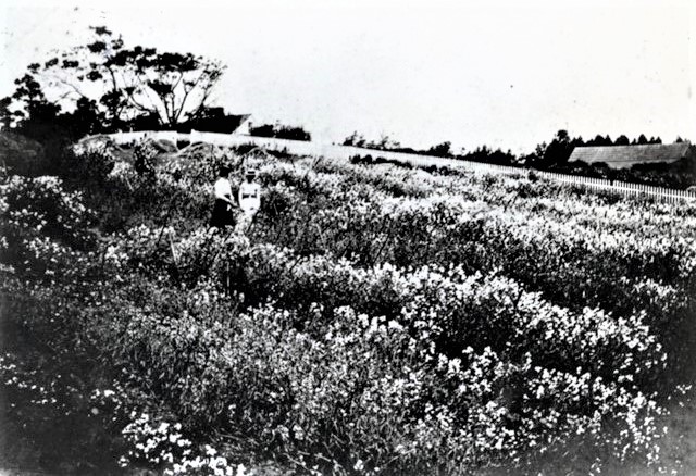 Two women standing in a field