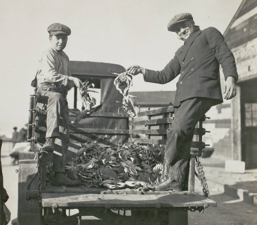 Two young men stand in the back of a historic pickup truck loaded with crab