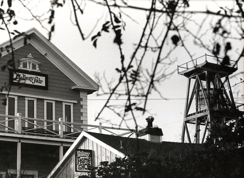 Historic Building and Water Tower viewed thru tree limbs