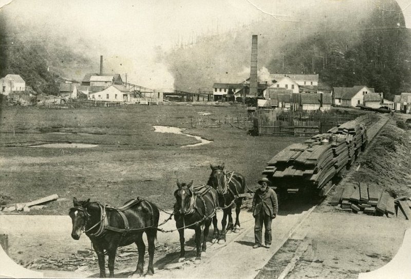 Man leading three horses hauling a rail car filled with lumber. Sawmill and associated buildings in background.