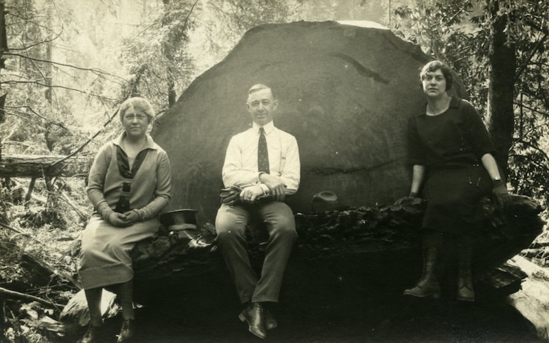 Two women and a man sitting in front of a large fallen tree