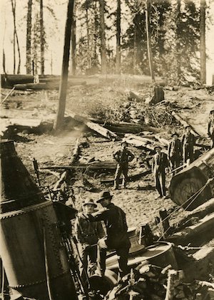 Men standing amongst felled trees with a machine in front of the cleared area