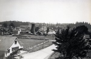 Elevated view of a street with yards, buildings and trees along it