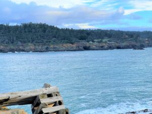 View of water with wooded shore behind it