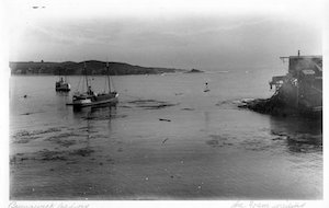 A steamboat in the water with another ship and land in the distance