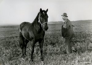 Male actor facing horse in field