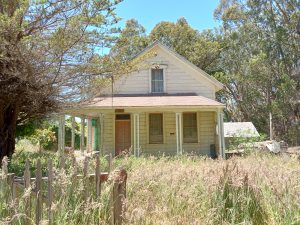 House with front porch surrounded by tall grass and trees