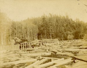 Train on tracks above a river filled with logs and trees in the background