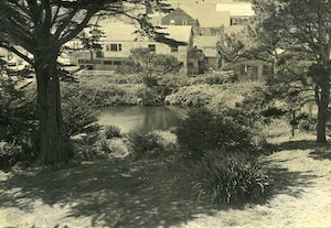 Looking across pond with buildings in background