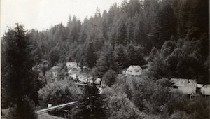 Elevated view of buildings nestled in a forest