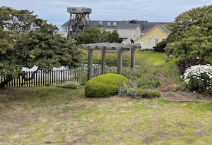 Looking across pond with buildings in background in 2022